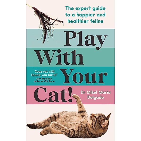 Play With Your Cat!, Mikel Maria Delgado