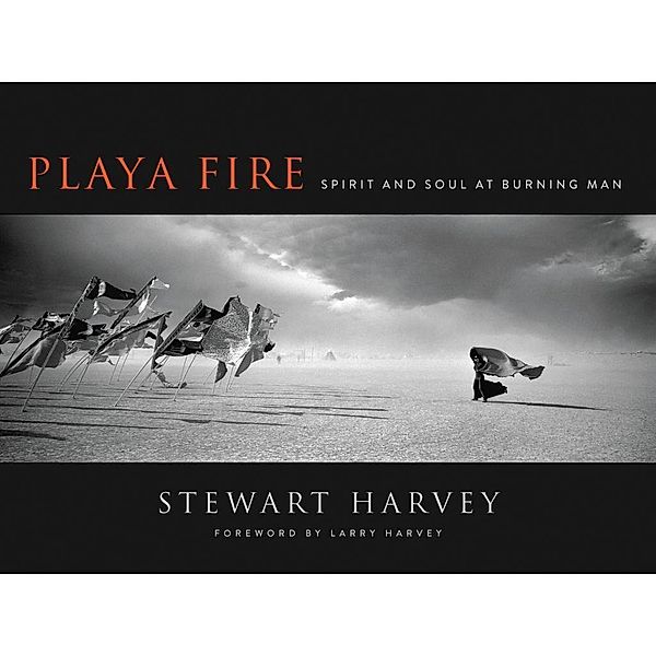 Playa Fire, Stewart Harvey