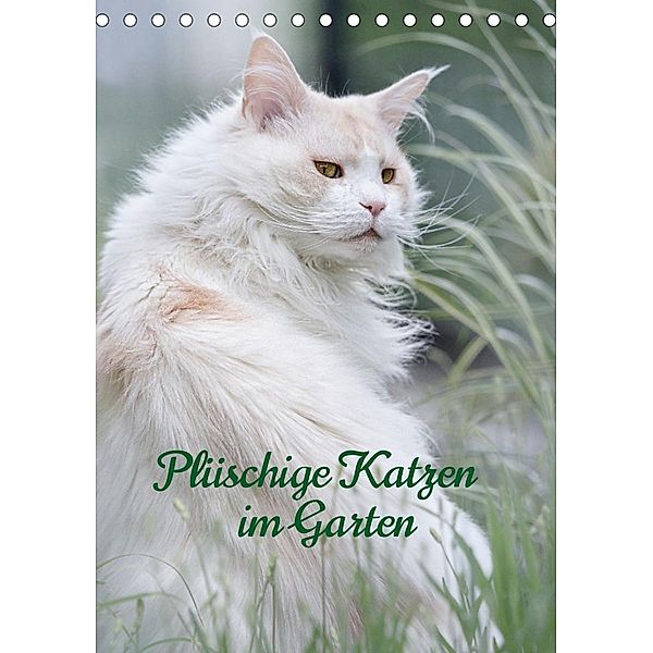 Plüschige Katzen im Garten (Tischkalender 2023 DIN A5 hoch), Wiebke von der Heyde