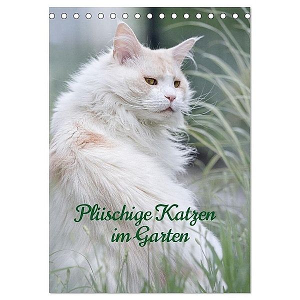 Plüschige Katzen im Garten (Tischkalender 2024 DIN A5 hoch), CALVENDO Monatskalender, Wiebke von der Heyde