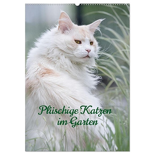 Plüschige Katzen im Garten (Wandkalender 2024 DIN A2 hoch), CALVENDO Monatskalender, Wiebke von der Heyde