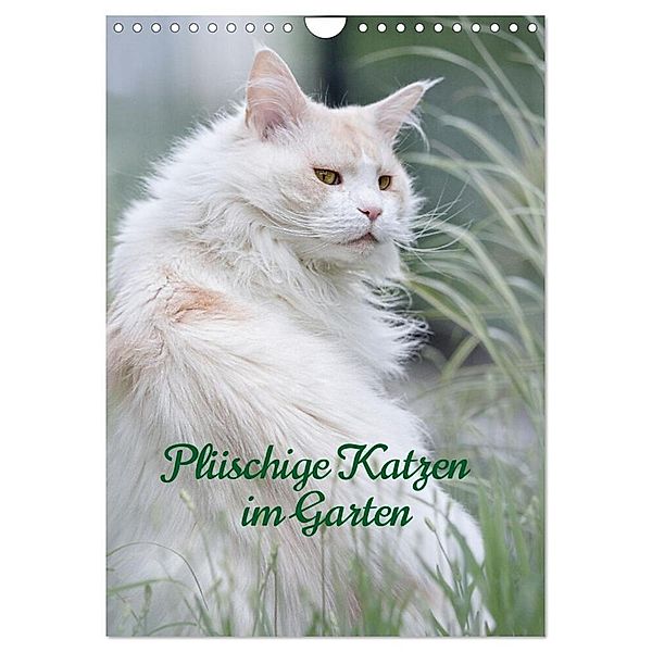 Plüschige Katzen im Garten (Wandkalender 2024 DIN A4 hoch), CALVENDO Monatskalender, Wiebke von der Heyde