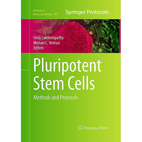 Pluripotent Stem Cells