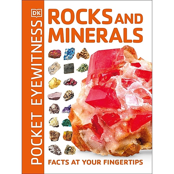 Pocket Eyewitness Rocks and Minerals / Pocket Eyewitness, Dk