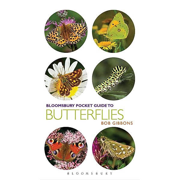 Pocket Guide to Butterflies, Bob Gibbons