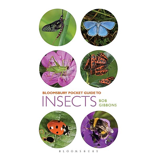 Pocket Guide to Insects, Bob Gibbons