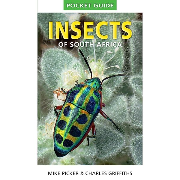 Pocket Guide to Insects of South Africa / Pocket Guide, Mike Picker