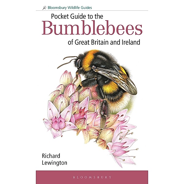 Pocket Guide to the Bumblebees of Great Britain and Ireland, Richard Lewington
