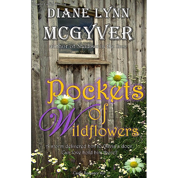 Pockets of Wildflowers / Quarter Castle Publishing, Diane Lynn McGyver