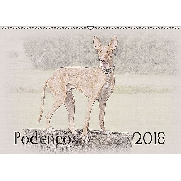 Podencos 2018 (Wandkalender 2018 DIN A2 quer), Andrea Redecker