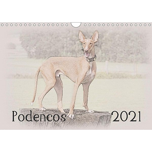 Podencos 2021 (Wandkalender 2021 DIN A4 quer), Andrea Redecker