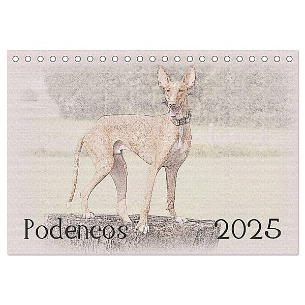 Podencos 2025 (Tischkalender 2025 DIN A5 quer), CALVENDO Monatskalender, Calvendo, Andrea Redecker