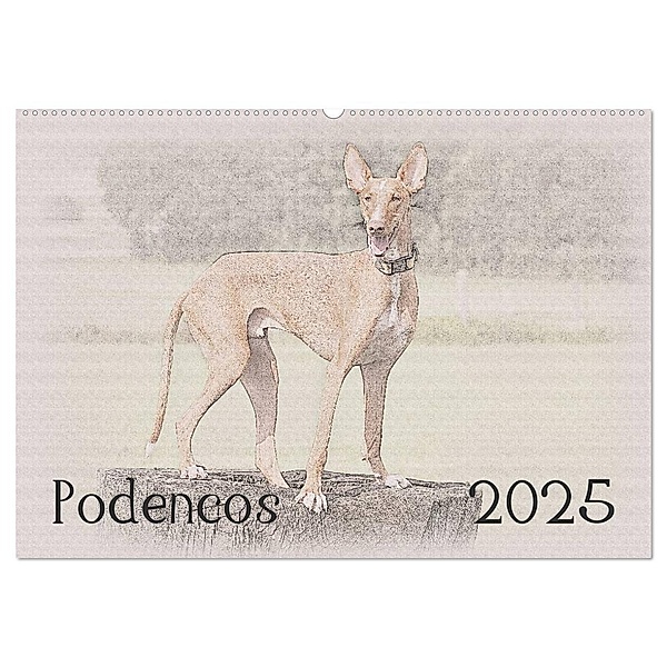 Podencos 2025 (Wandkalender 2025 DIN A2 quer), CALVENDO Monatskalender, Calvendo, Andrea Redecker