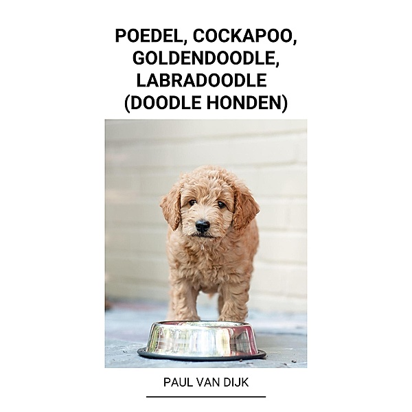 Poedel, Cockapoo, Goldendoodle, Labradoodle  (Doodle Honden), Paul van Dijk