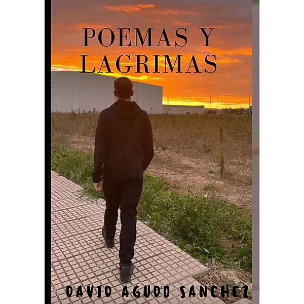 Poemas y lágrimas, David Agudo