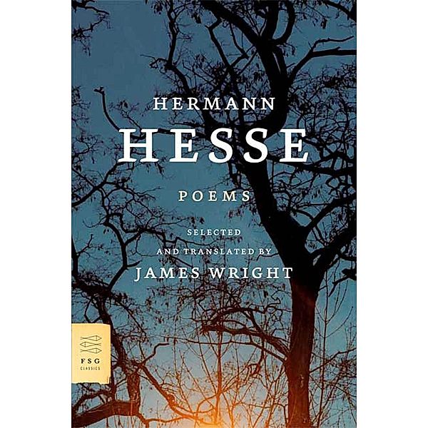 Poems / FSG Classics, Hermann Hesse