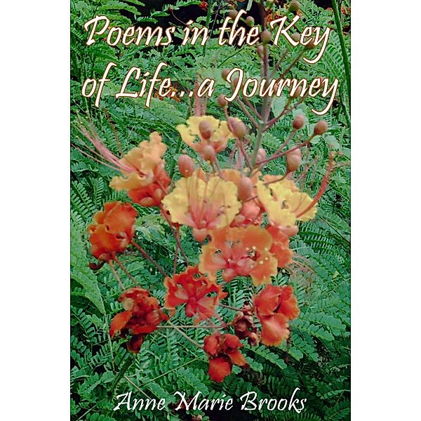 Poems In the Key of Life ... a Journey, Anne Marie Brooks