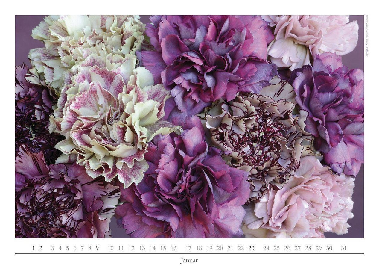 Poesie der Blumen 2022 - Kalender bei Weltbild.ch bestellen