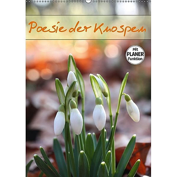 Poesie der Knospen (Wandkalender 2018 DIN A2 hoch), Gisela Kruse