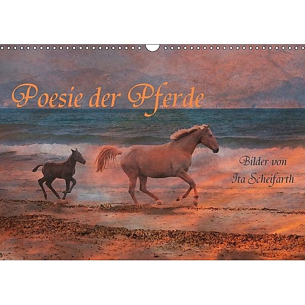 Poesie der Pferde (Wandkalender 2018 DIN A3 quer), Ita Scheifarth