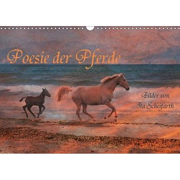 Poesie der Pferde (Wandkalender 2020 DIN A3 quer), Ita Scheifarth