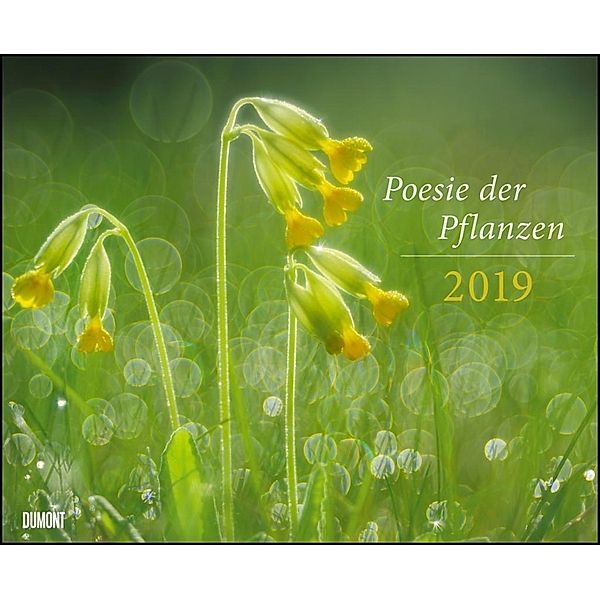 Poesie der Pflanzen 2019