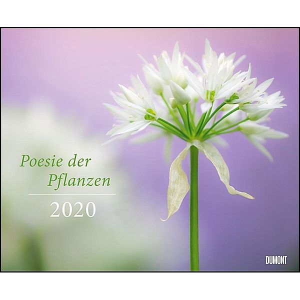 Poesie der Pflanzen 2020