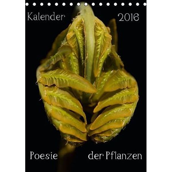 Poesie der Pflanzen (Tischkalender 2016 DIN A5 hoch), Tonio Termeer