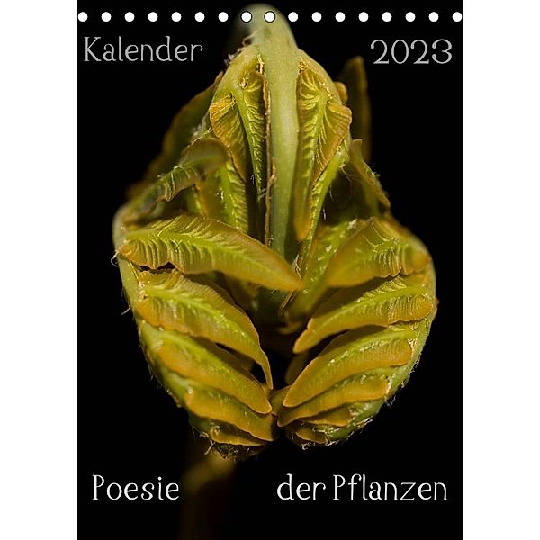 Poesie der Pflanzen (Tischkalender 2023 DIN A5 hoch), Tonio Termeer