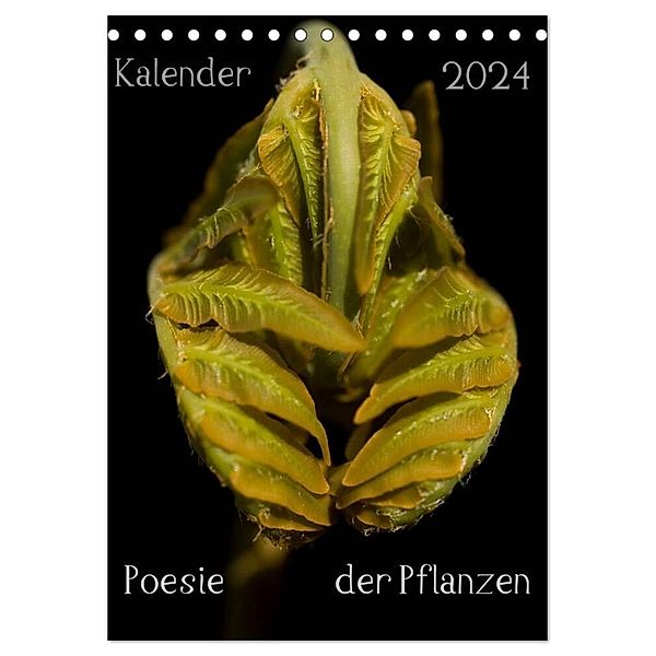 Poesie der Pflanzen (Tischkalender 2024 DIN A5 hoch), CALVENDO Monatskalender, Tonio Termeer