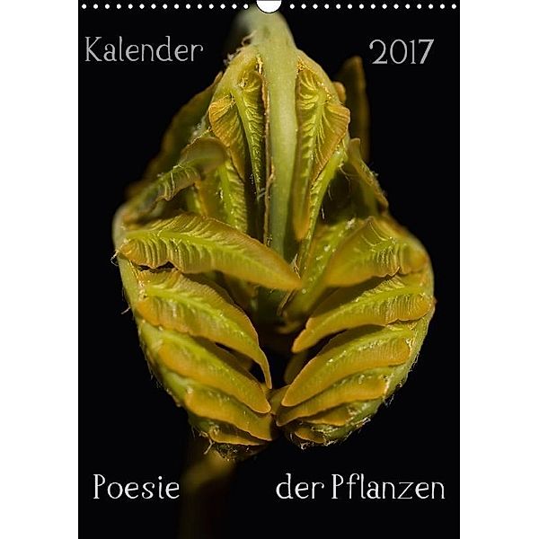 Poesie der Pflanzen (Wandkalender 2017 DIN A3 hoch), Tonio Termeer
