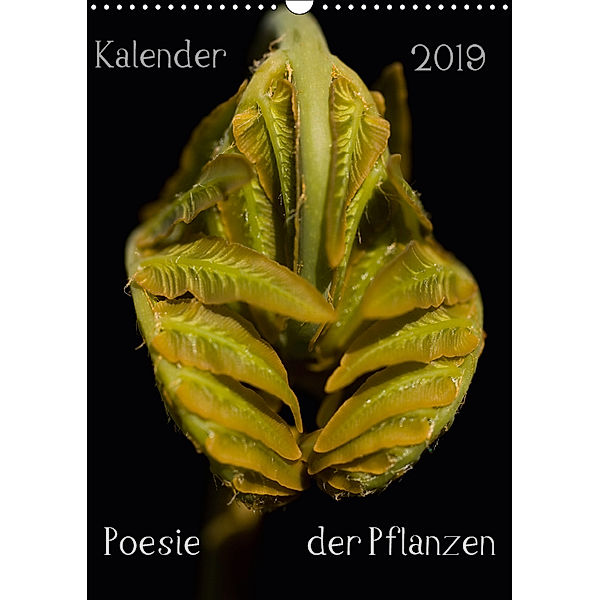 Poesie der Pflanzen (Wandkalender 2019 DIN A3 hoch), Tonio Termeer