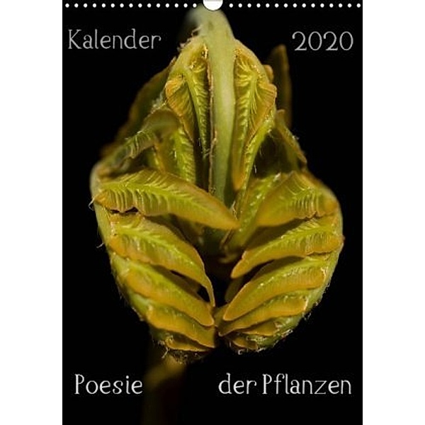 Poesie der Pflanzen (Wandkalender 2020 DIN A3 hoch), Tonio Termeer