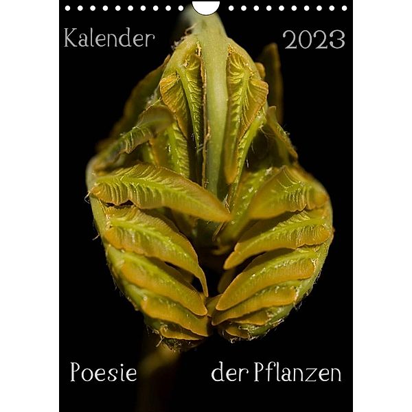 Poesie der Pflanzen (Wandkalender 2023 DIN A4 hoch), Tonio Termeer