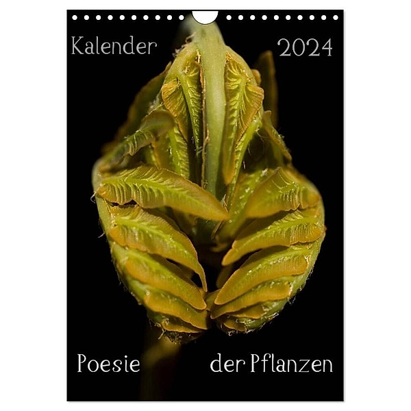 Poesie der Pflanzen (Wandkalender 2024 DIN A4 hoch), CALVENDO Monatskalender, Tonio Termeer