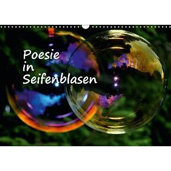 Poesie in Seifenblasen (Wandkalender 2016 DIN A3 quer), Eduard Tkocz