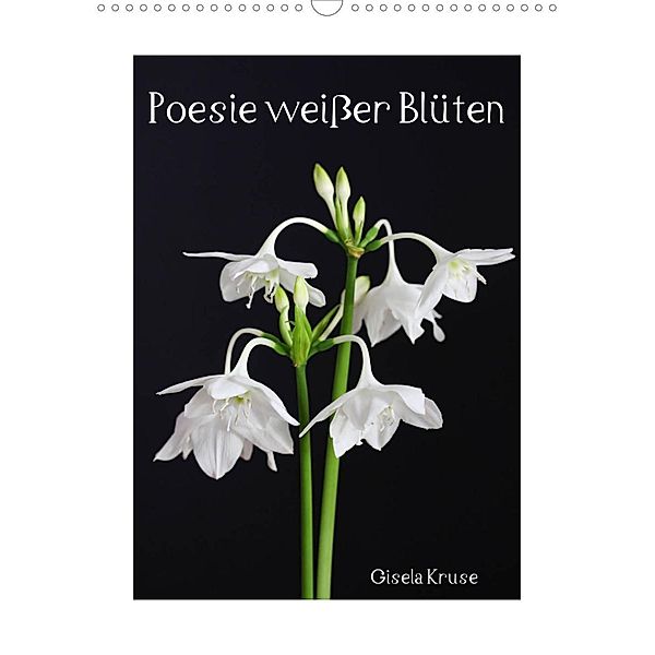 Poesie weißer Blüten (Wandkalender 2023 DIN A3 hoch), Gisela Kruse