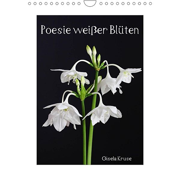 Poesie weißer Blüten (Wandkalender 2023 DIN A4 hoch), Gisela Kruse