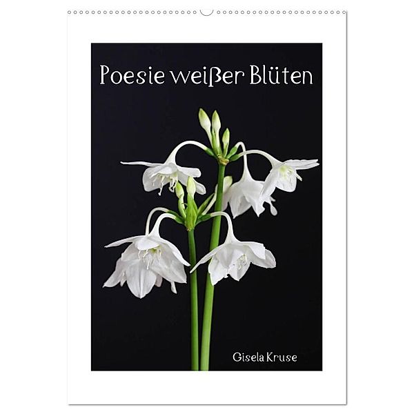 Poesie weißer Blüten (Wandkalender 2024 DIN A2 hoch), CALVENDO Monatskalender, Gisela Kruse