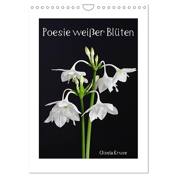 Poesie weisser Blüten (Wandkalender 2024 DIN A4 hoch), CALVENDO Monatskalender, Gisela Kruse