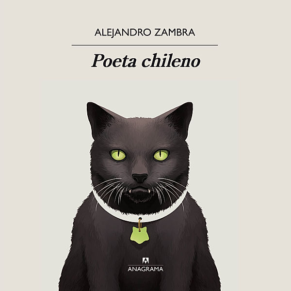 Poeta chileno, Alejandro Zambra