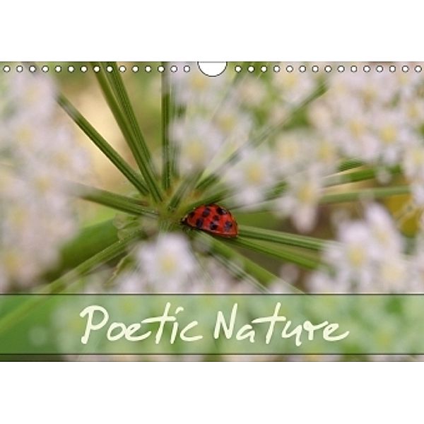 Poetic Nature (Wall Calendar 2017 DIN A4 Landscape), Gisela Kruse