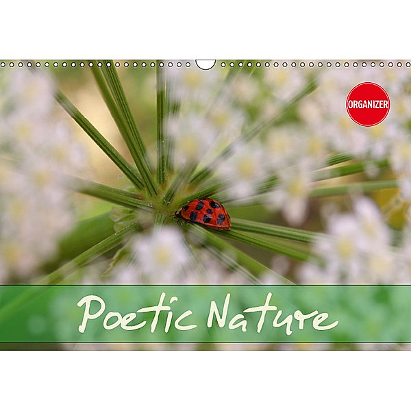 Poetic Nature (Wall Calendar 2019 DIN A3 Landscape), Gisela Kruse