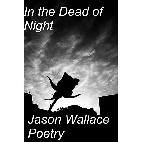 Poetry: In the Dead of Night, Jason Wallace Poetry