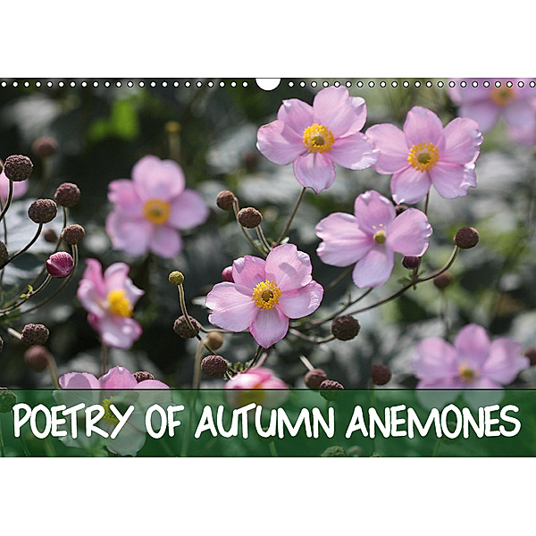 Poetry of Autumn Anemones (Wall Calendar 2019 DIN A3 Landscape), Gisela Kruse