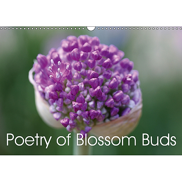 Poetry of Blossom Buds (Wall Calendar 2019 DIN A3 Landscape), Gisela Kruse