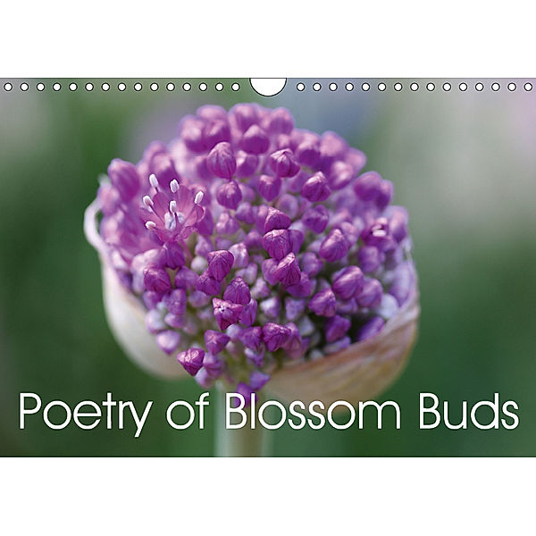 Poetry of Blossom Buds (Wall Calendar 2019 DIN A4 Landscape), Gisela Kruse