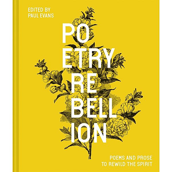 Poetry Rebellion, Paul Evans