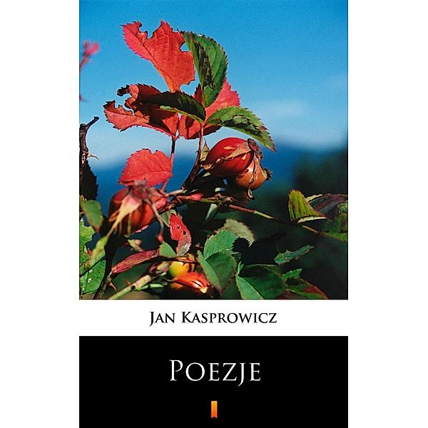 Poezje, Jan Kasprowicz
