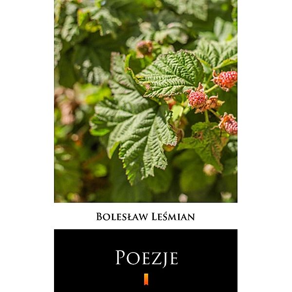 Poezje, Boleslaw Lesmian